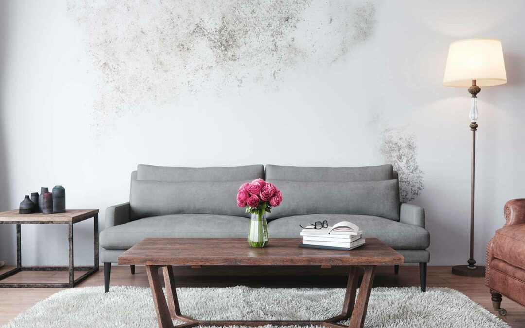 Damp Proof Painting – Does It Work?