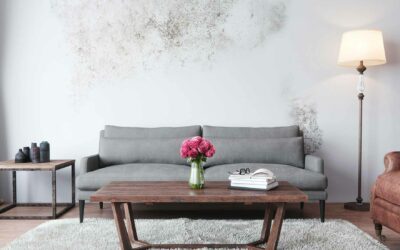 Damp Proof Painting – Does It Work?