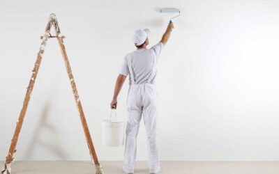 Paint Contractors in Port Elizabeth