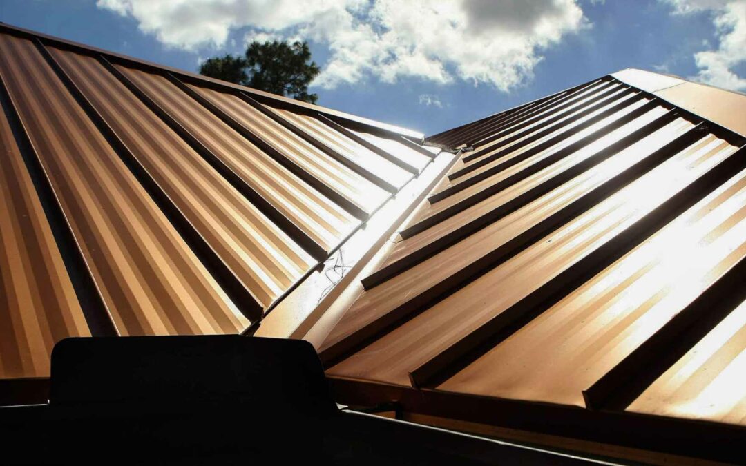Roof Painting