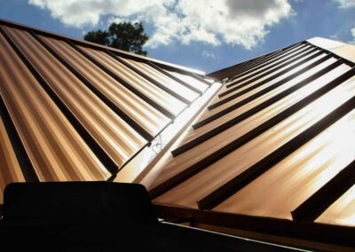 Roof Painting